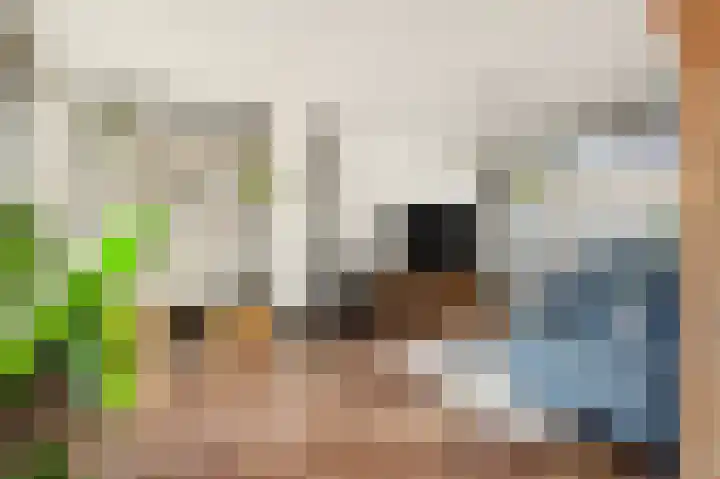 Hofstraat 18 Den Dungen thumbnail 10