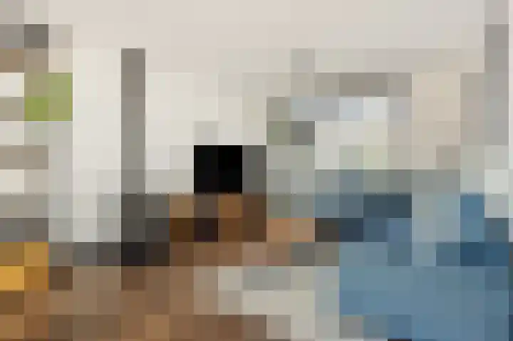 Hofstraat 18 Den Dungen thumbnail 11