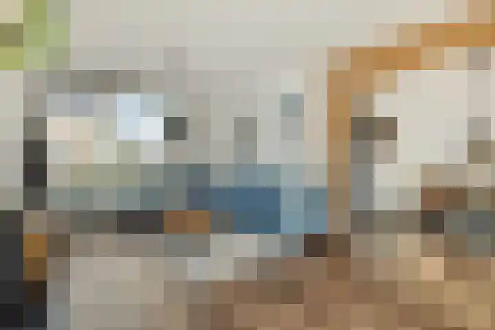Hofstraat 18 Den Dungen thumbnail 12