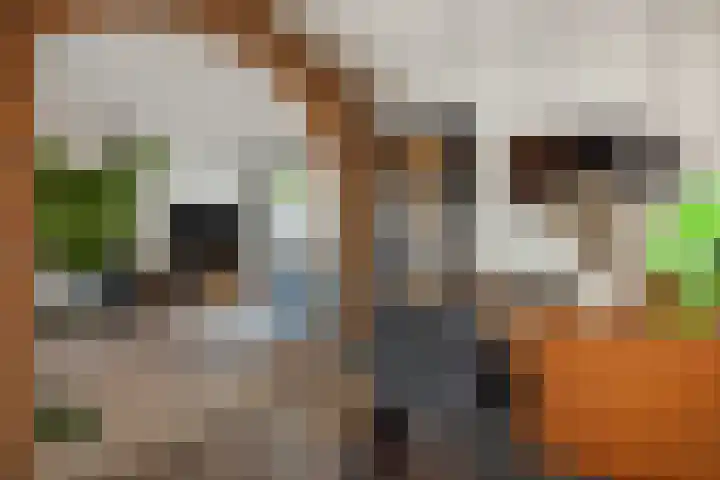Hofstraat 18 Den Dungen thumbnail 15