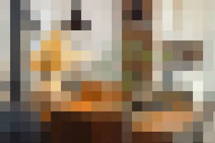 Hofstraat 18 Den Dungen thumbnail 17