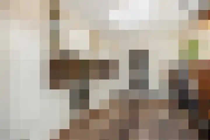 Hofstraat 18 Den Dungen thumbnail 19