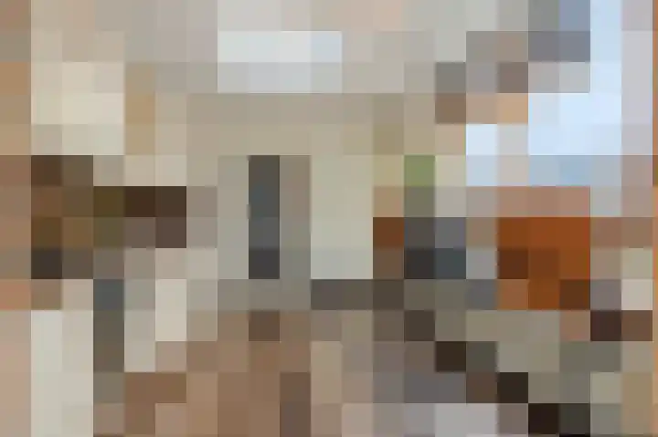 Hofstraat 18 Den Dungen thumbnail 20