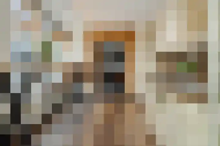 Hofstraat 18 Den Dungen thumbnail 21