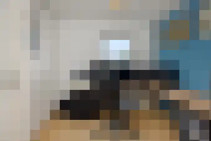 Hofstraat 18 Den Dungen thumbnail 27