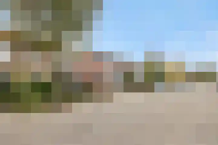 Hofstraat 18 Den Dungen thumbnail 7