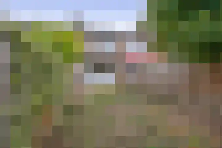 Hofstraat 19 Heerlen thumbnail 35