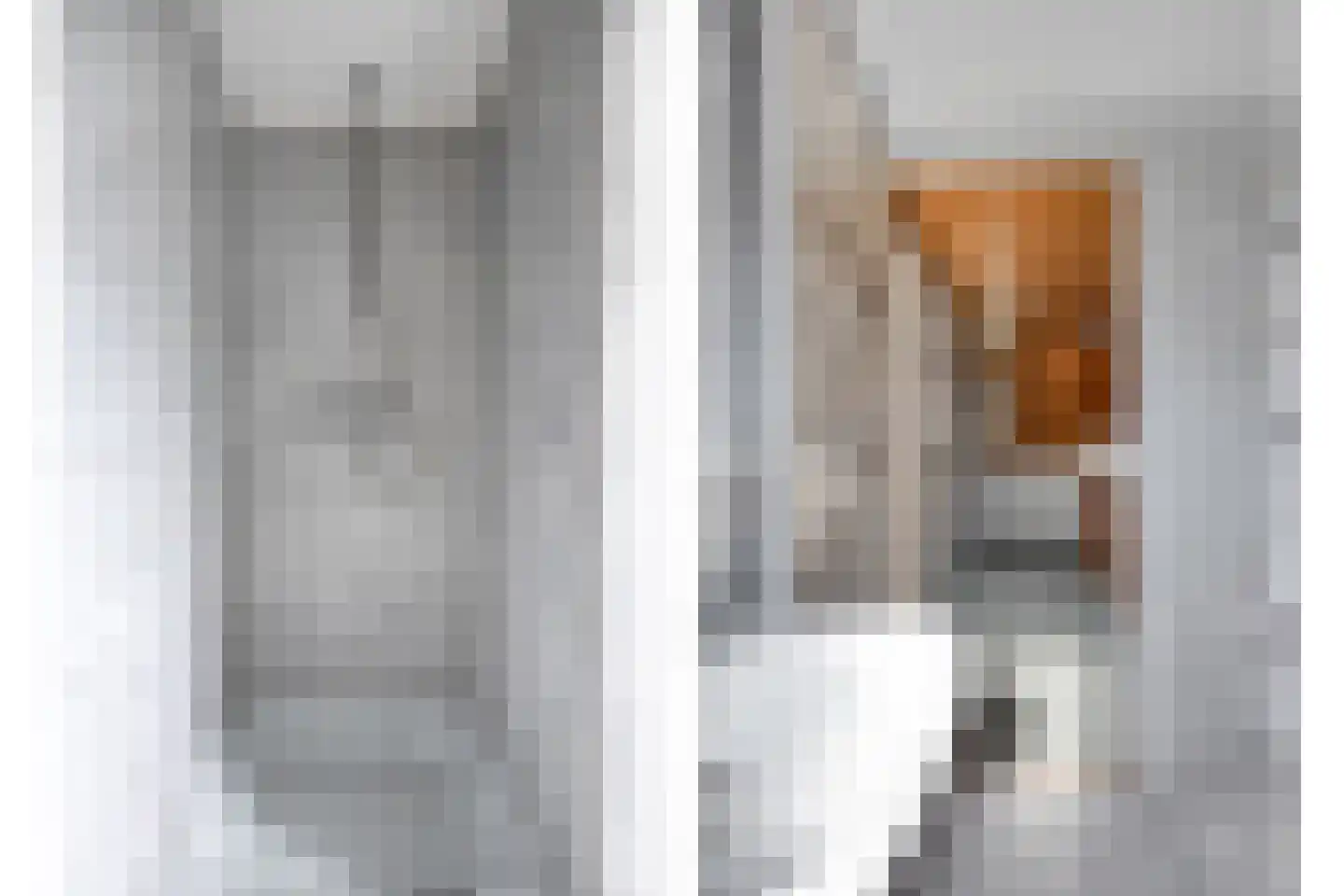Hofstraat 19 Oss thumbnail 24