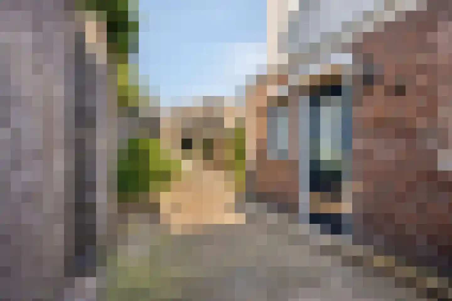 Hofstraat 19 Oss thumbnail 28