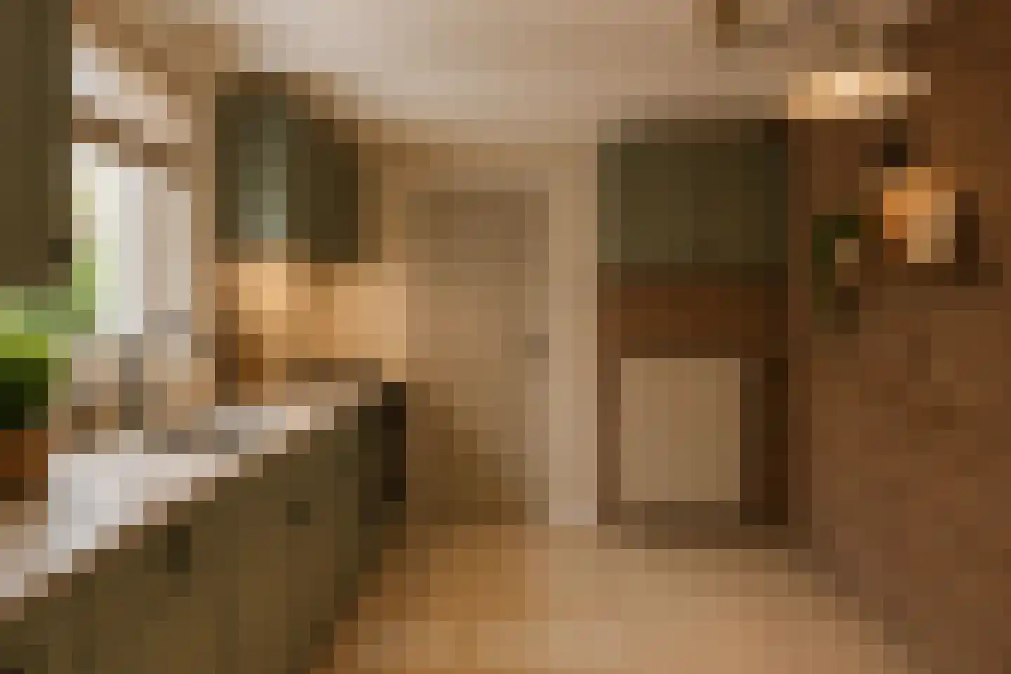 Hofstraat 19 Oss thumbnail 4