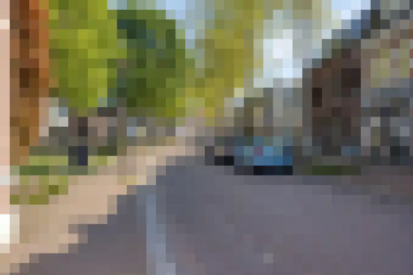 Hofstraat 19 Oss thumbnail 40