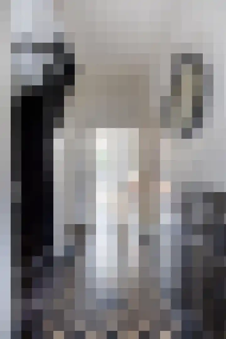 Hofstraat 2 Geldrop thumbnail 10