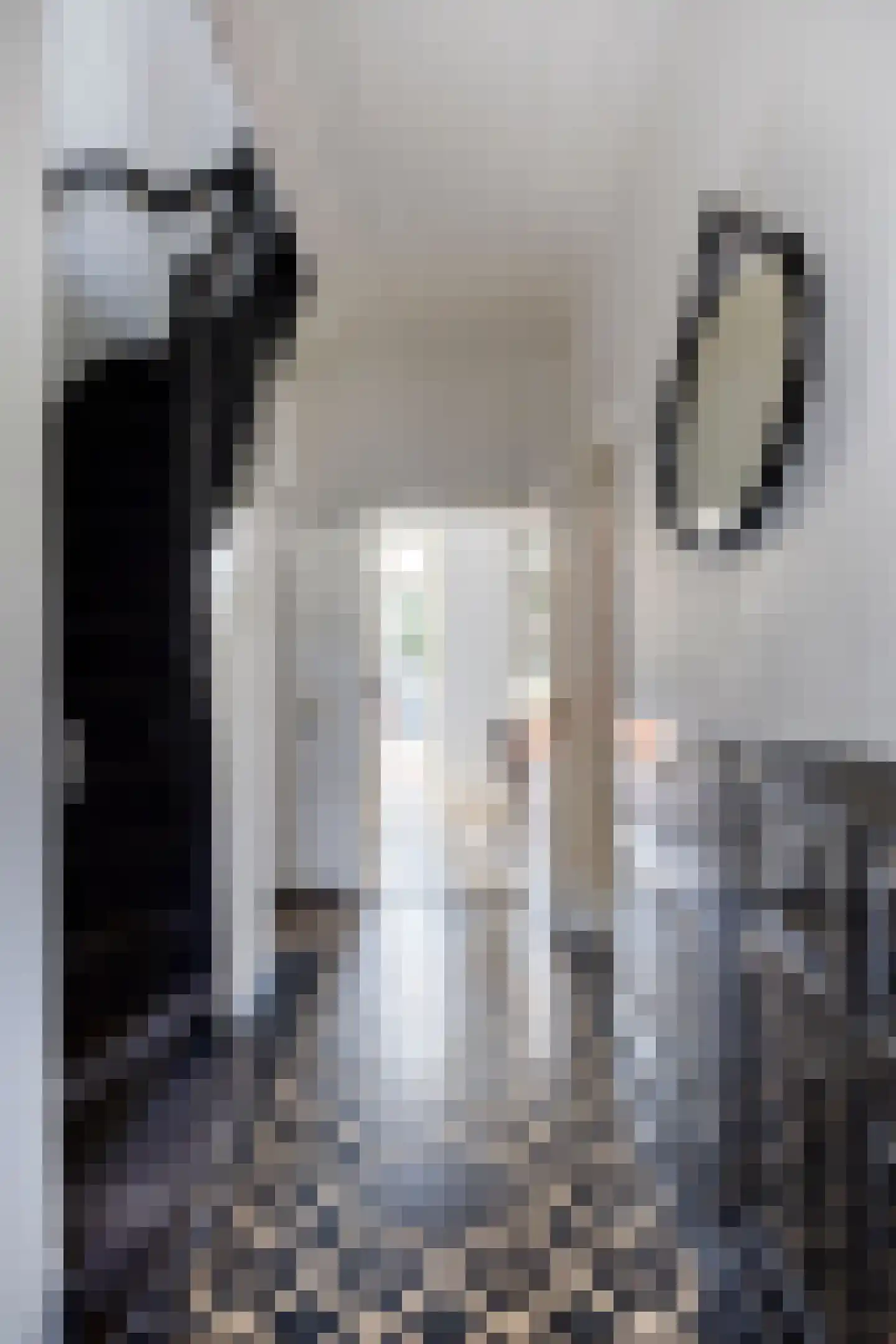 Hofstraat 2 Geldrop thumbnail 10