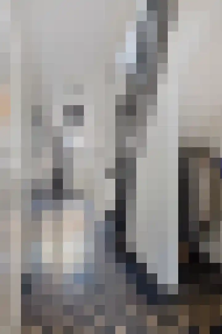 Hofstraat 2 Geldrop thumbnail 11