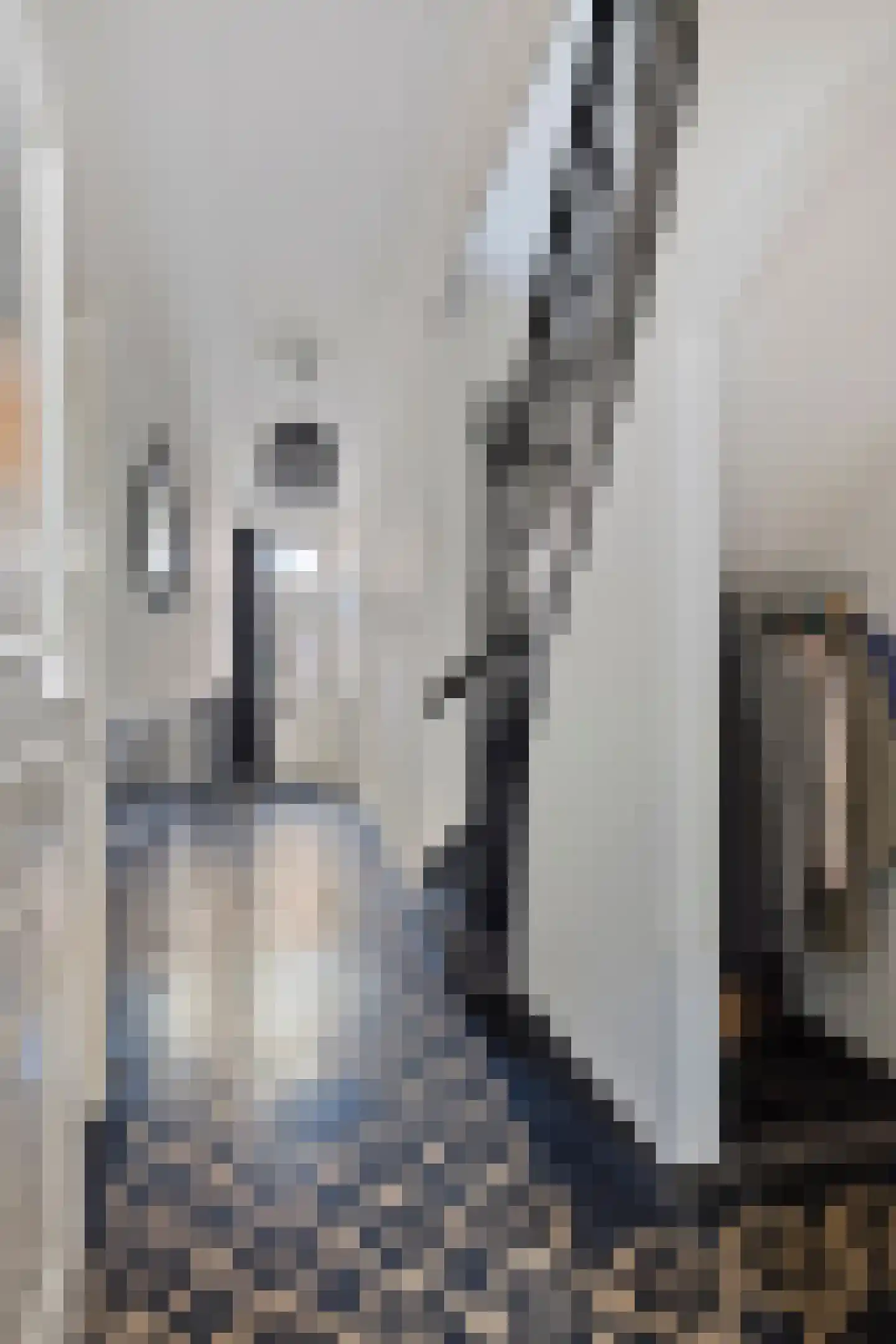 Hofstraat 2 Geldrop thumbnail 11