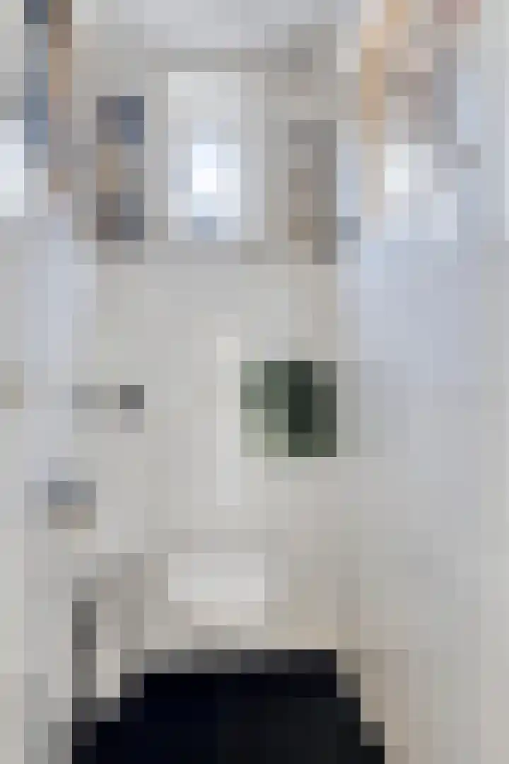 Hofstraat 2 Geldrop thumbnail 13