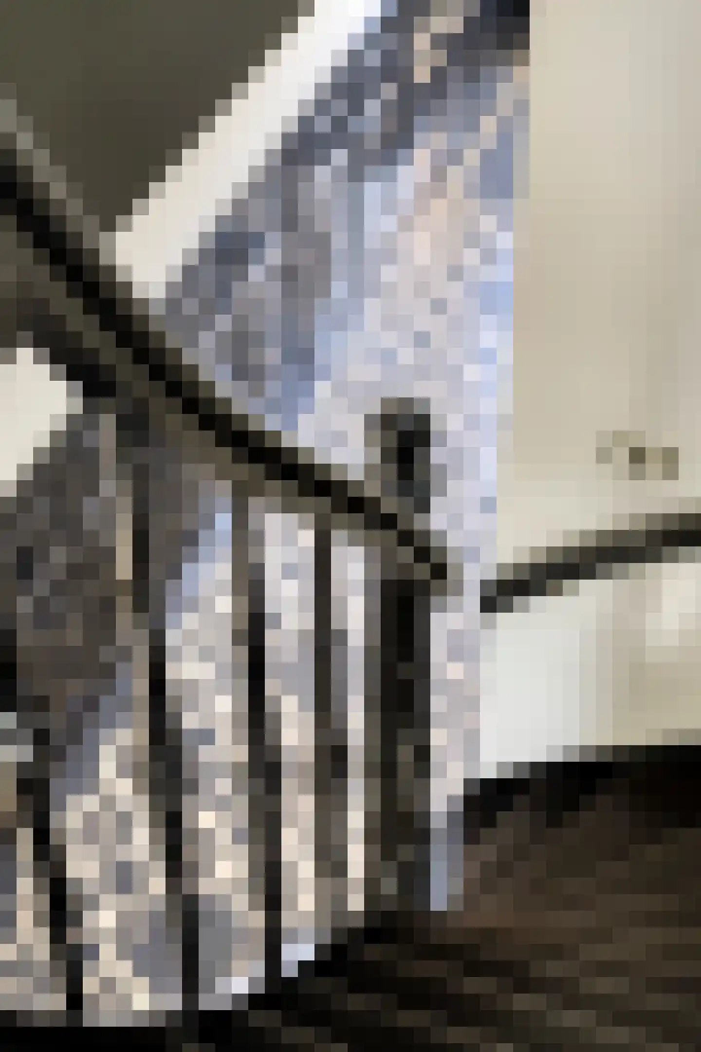 Hofstraat 2 Geldrop thumbnail 14