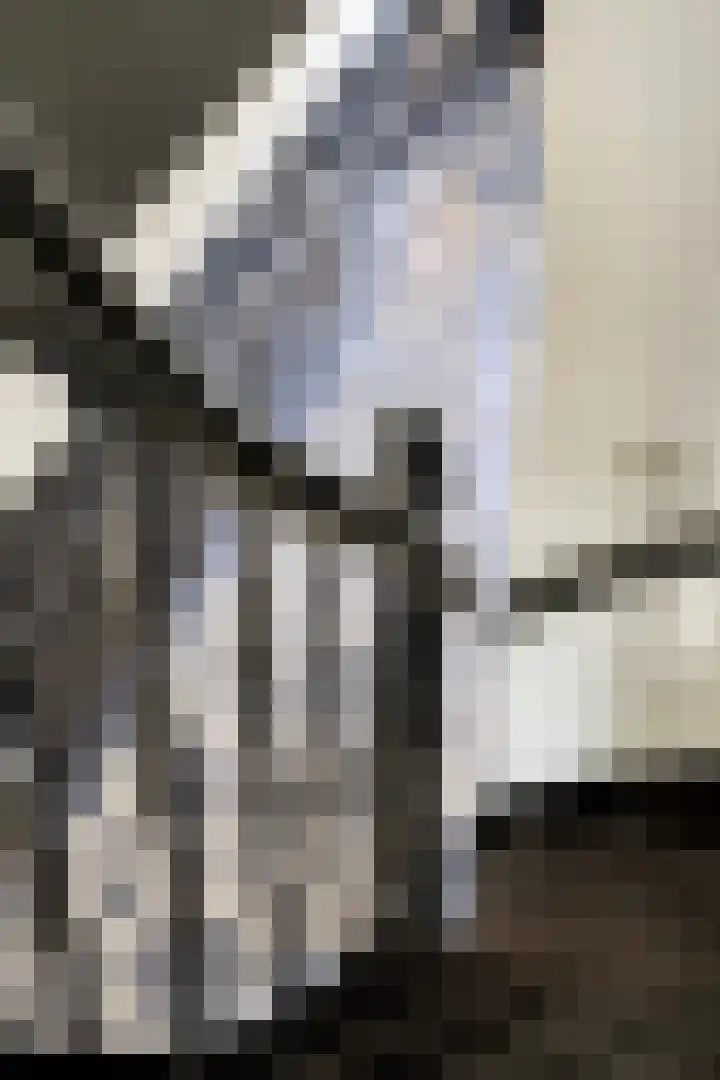 Hofstraat 2 Geldrop thumbnail 14