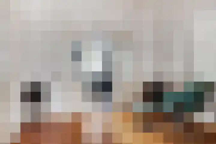 Hofstraat 2 Geldrop thumbnail 19
