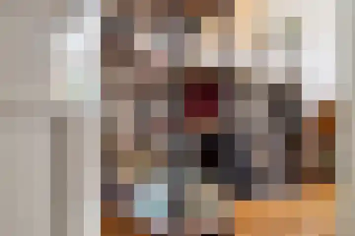 Hofstraat 2 Geldrop thumbnail 20