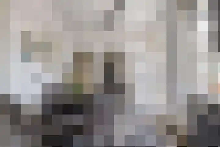 Hofstraat 2 Geldrop thumbnail 21