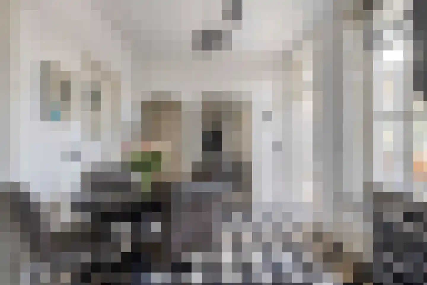 Hofstraat 2 Geldrop thumbnail 21