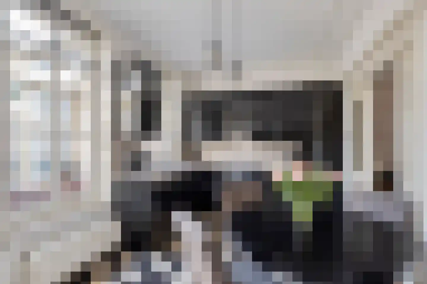 Hofstraat 2 Geldrop thumbnail 22