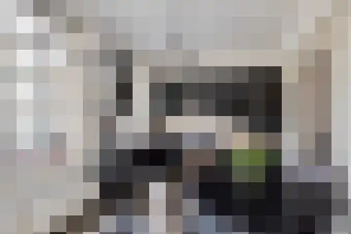 Hofstraat 2 Geldrop thumbnail 22