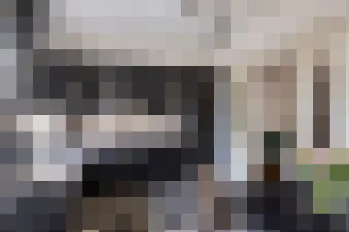 Hofstraat 2 Geldrop thumbnail 23