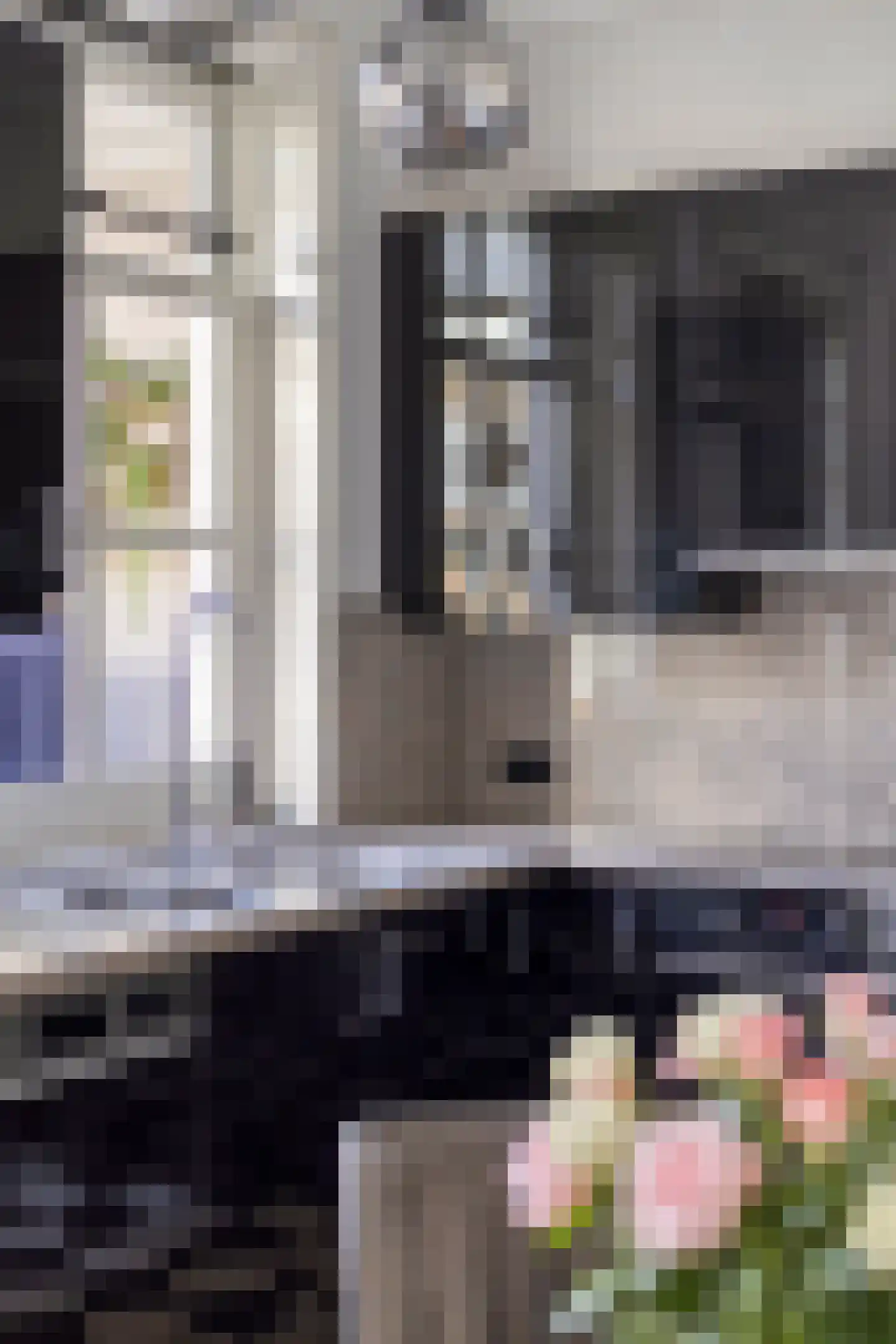 Hofstraat 2 Geldrop thumbnail 24