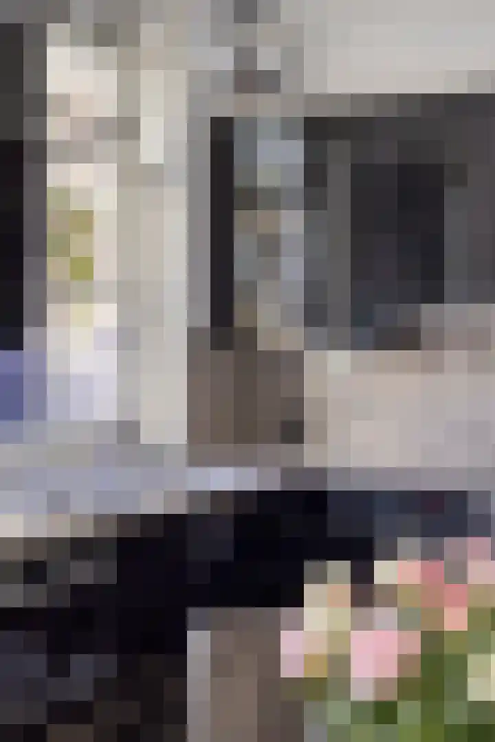 Hofstraat 2 Geldrop thumbnail 24