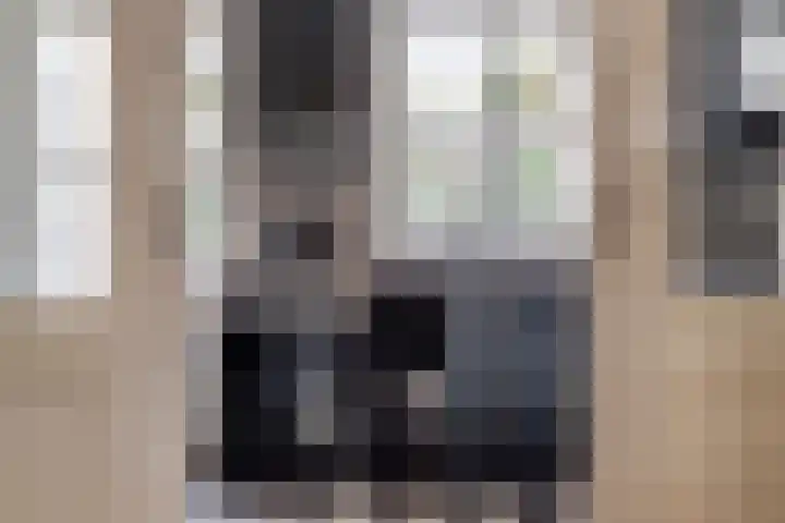 Hofstraat 2 Geldrop thumbnail 28