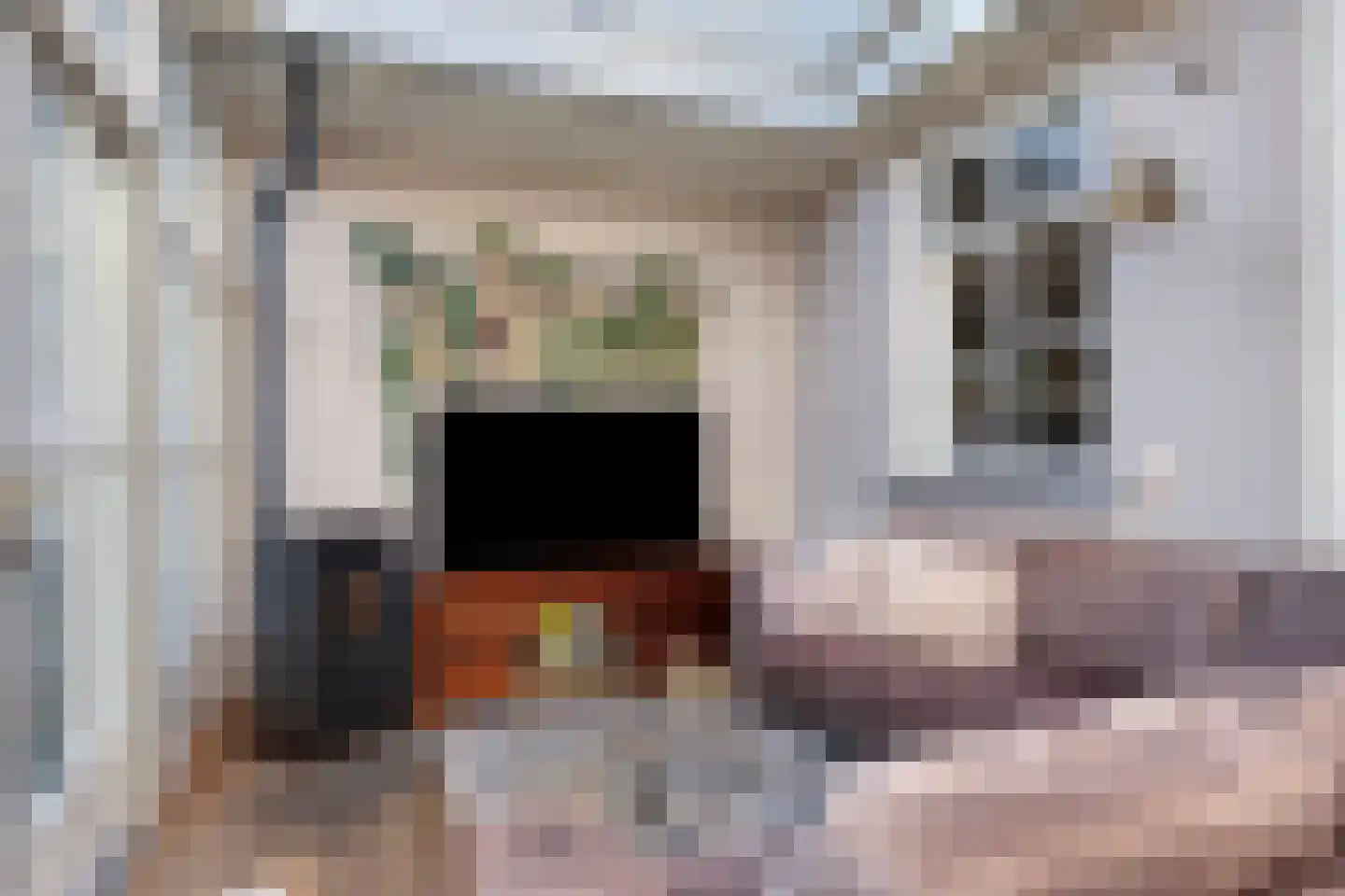 Hofstraat 2 Geldrop thumbnail 29