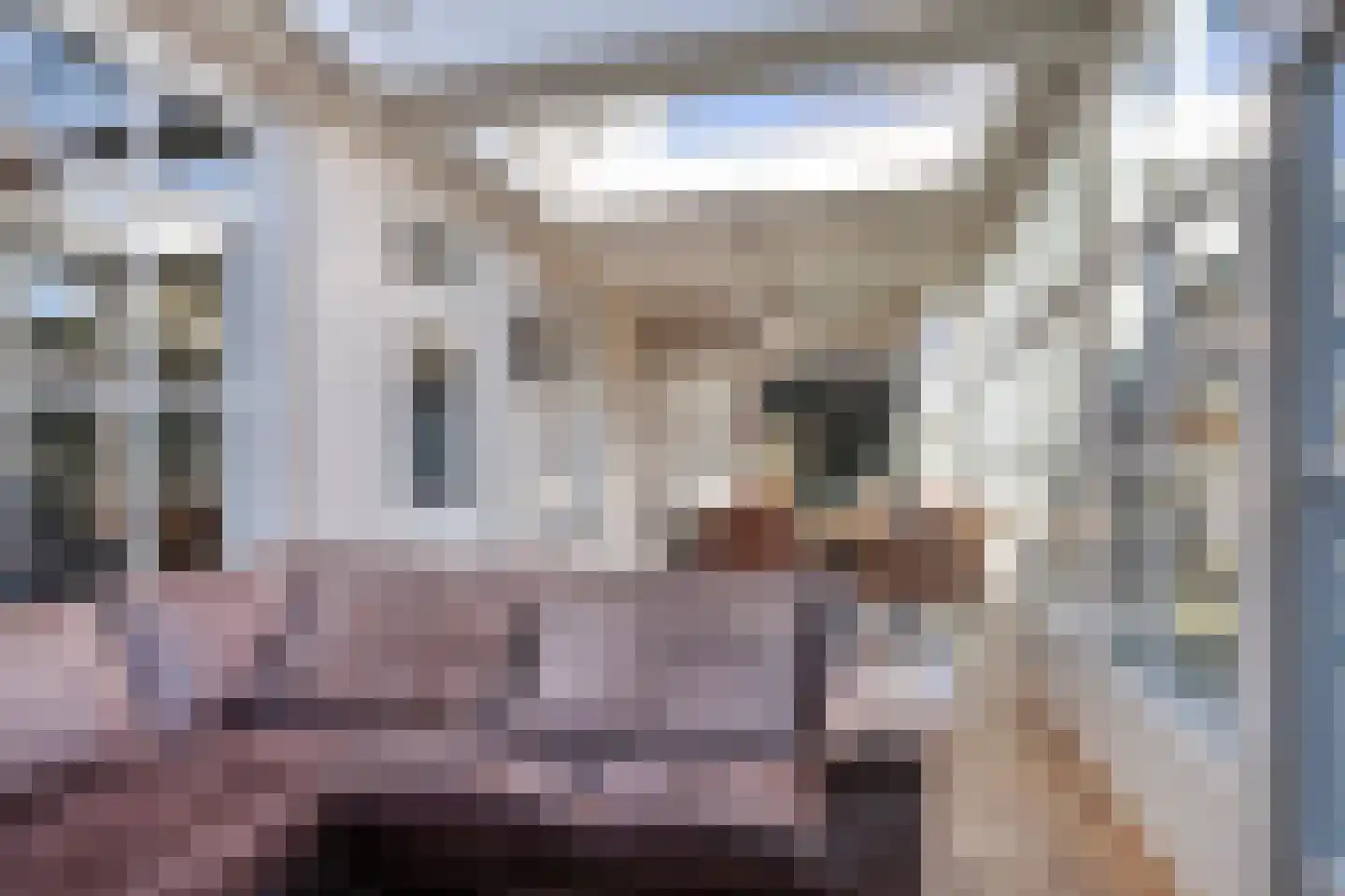 Hofstraat 2 Geldrop thumbnail 30