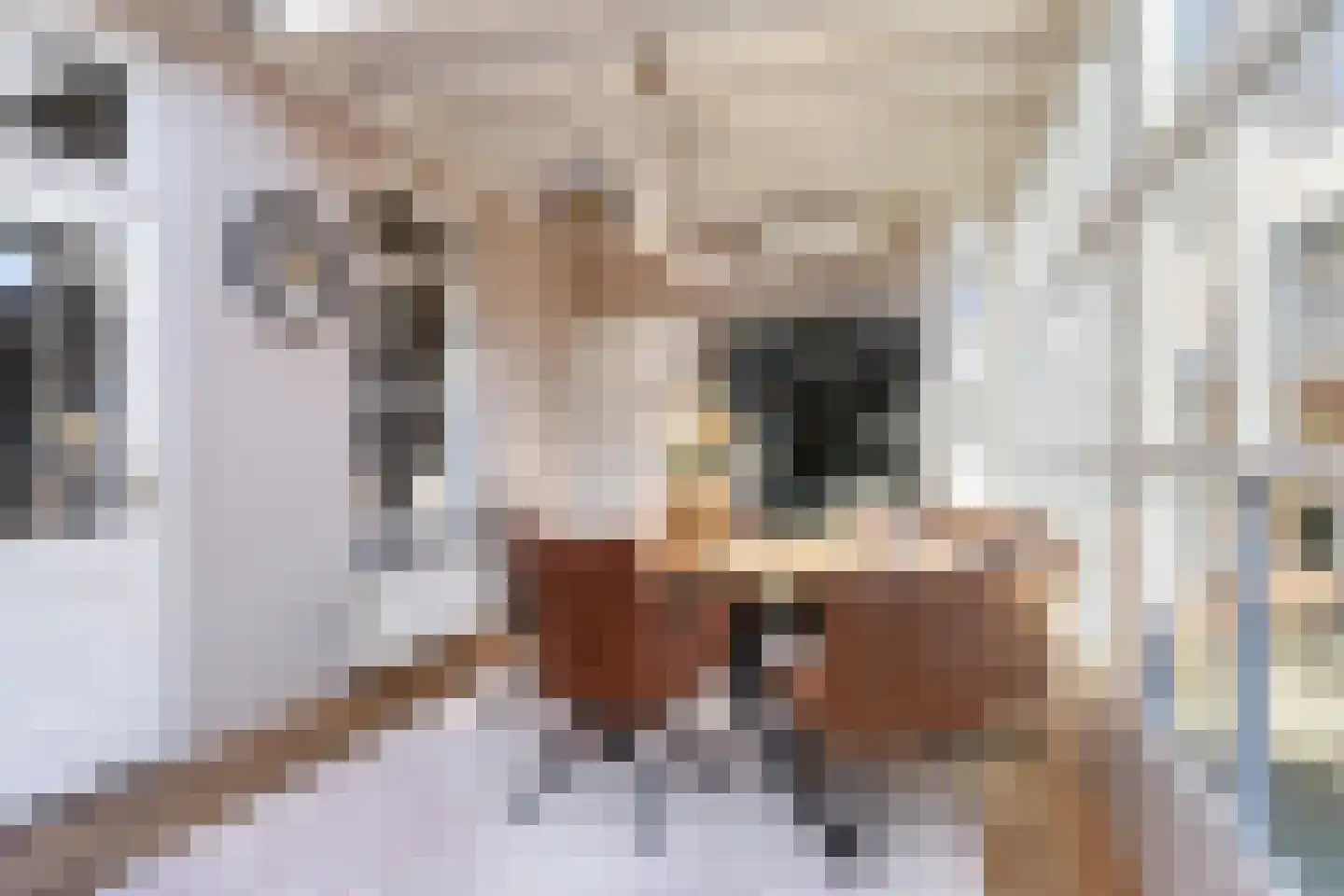 Hofstraat 2 Geldrop thumbnail 31