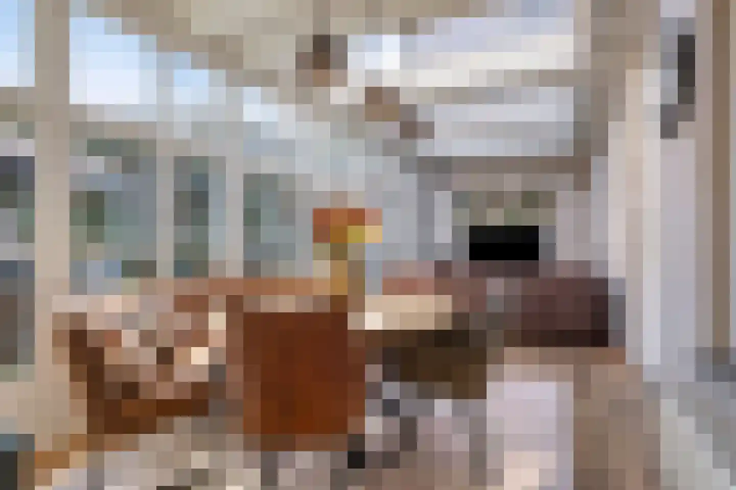 Hofstraat 2 Geldrop thumbnail 32