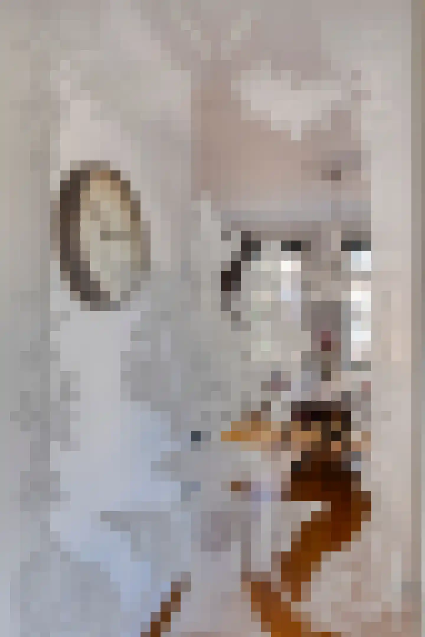 Hofstraat 2 Geldrop thumbnail 38