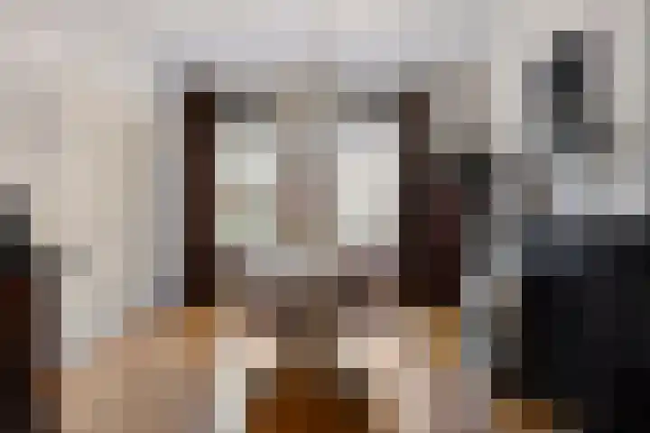 Hofstraat 2 Geldrop thumbnail 40