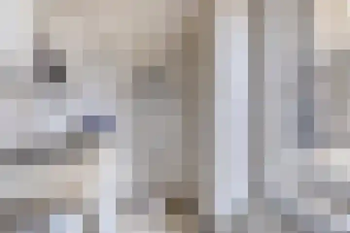Hofstraat 2 Geldrop thumbnail 41