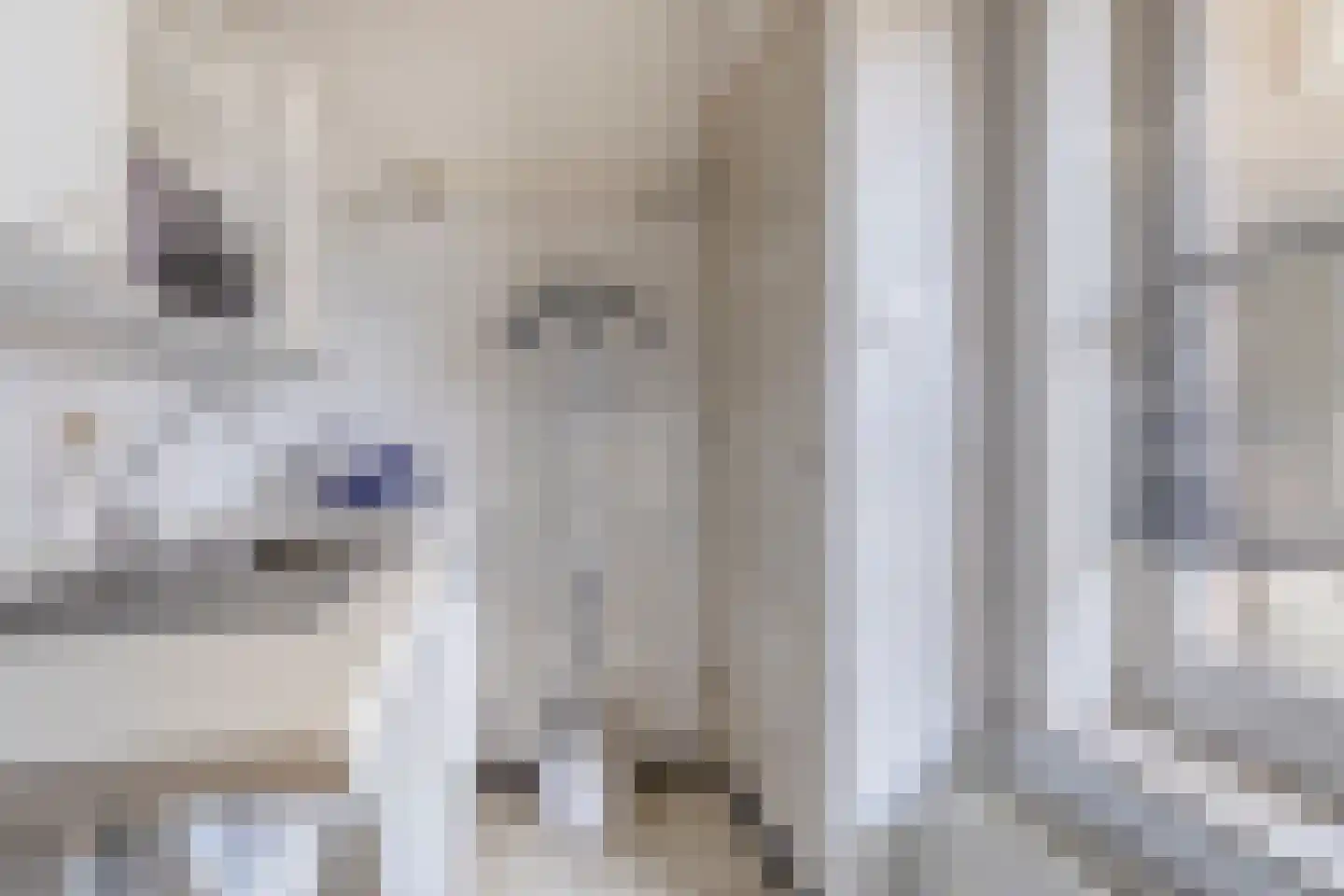 Hofstraat 2 Geldrop thumbnail 41