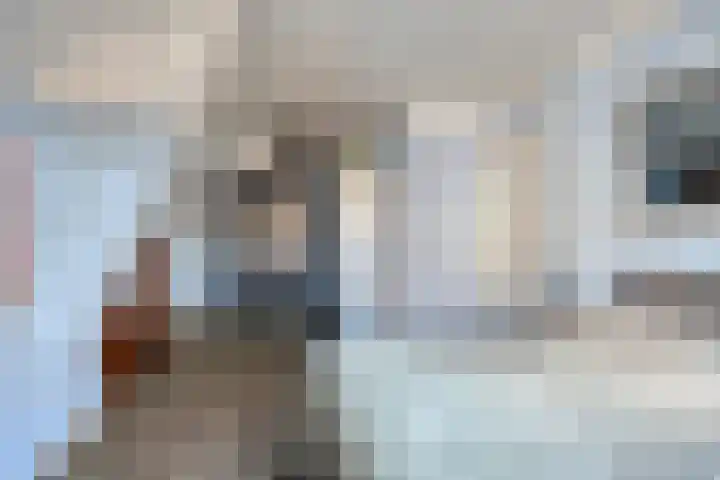 Hofstraat 2 Geldrop thumbnail 44