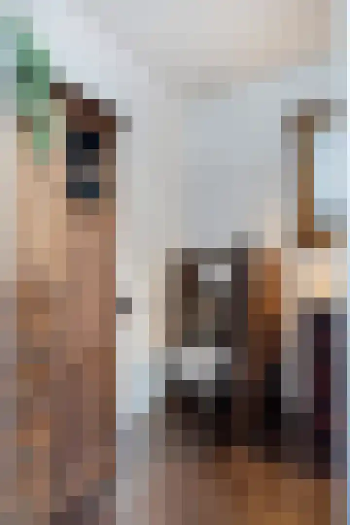 Hofstraat 2 Geldrop thumbnail 49