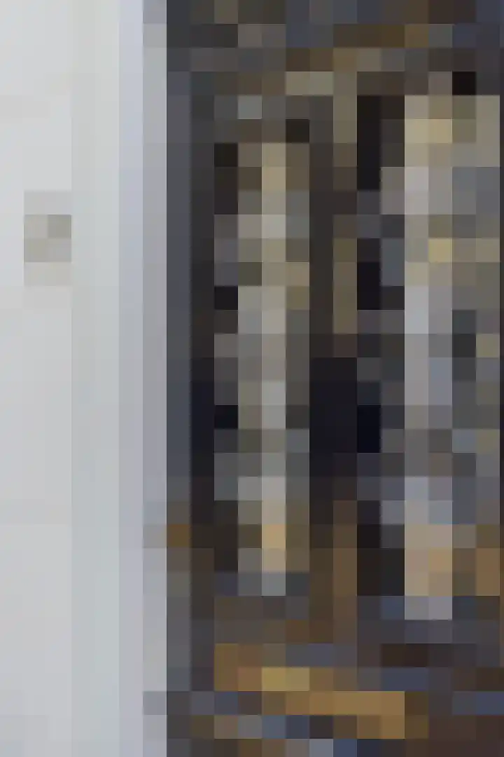 Hofstraat 2 Geldrop thumbnail 5
