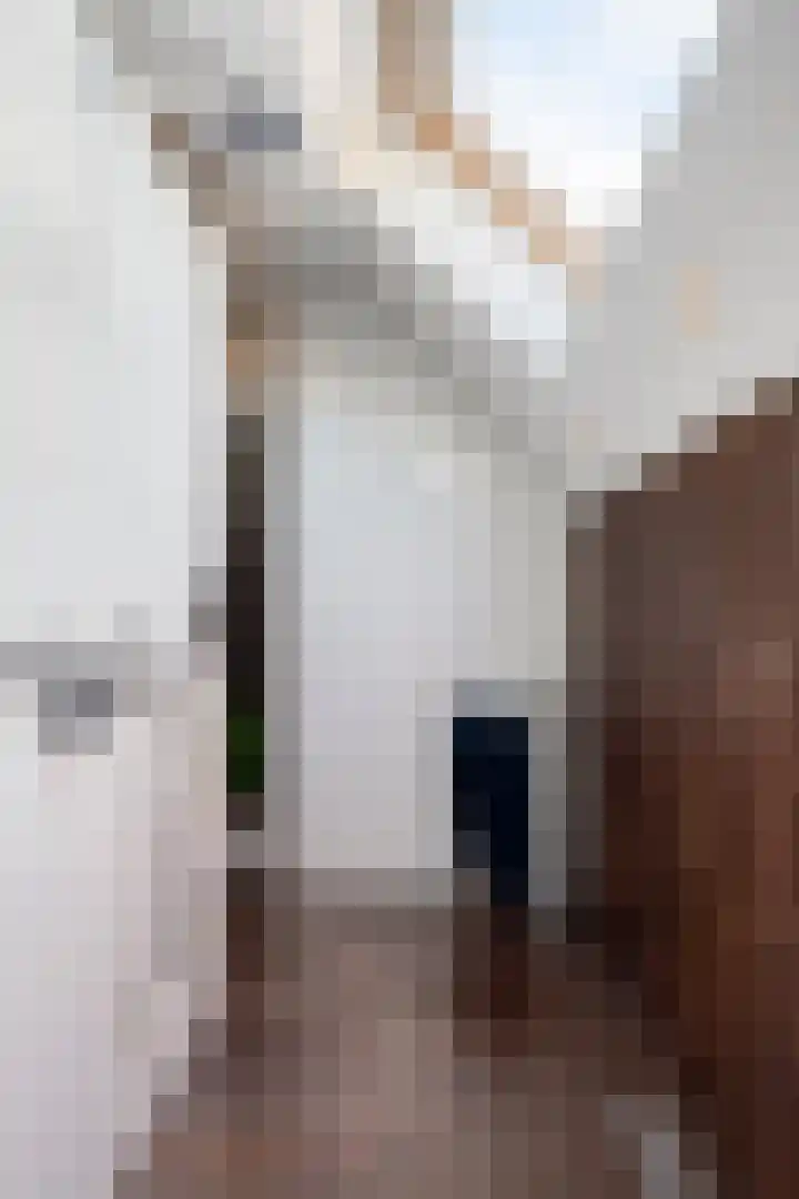 Hofstraat 2 Geldrop thumbnail 50