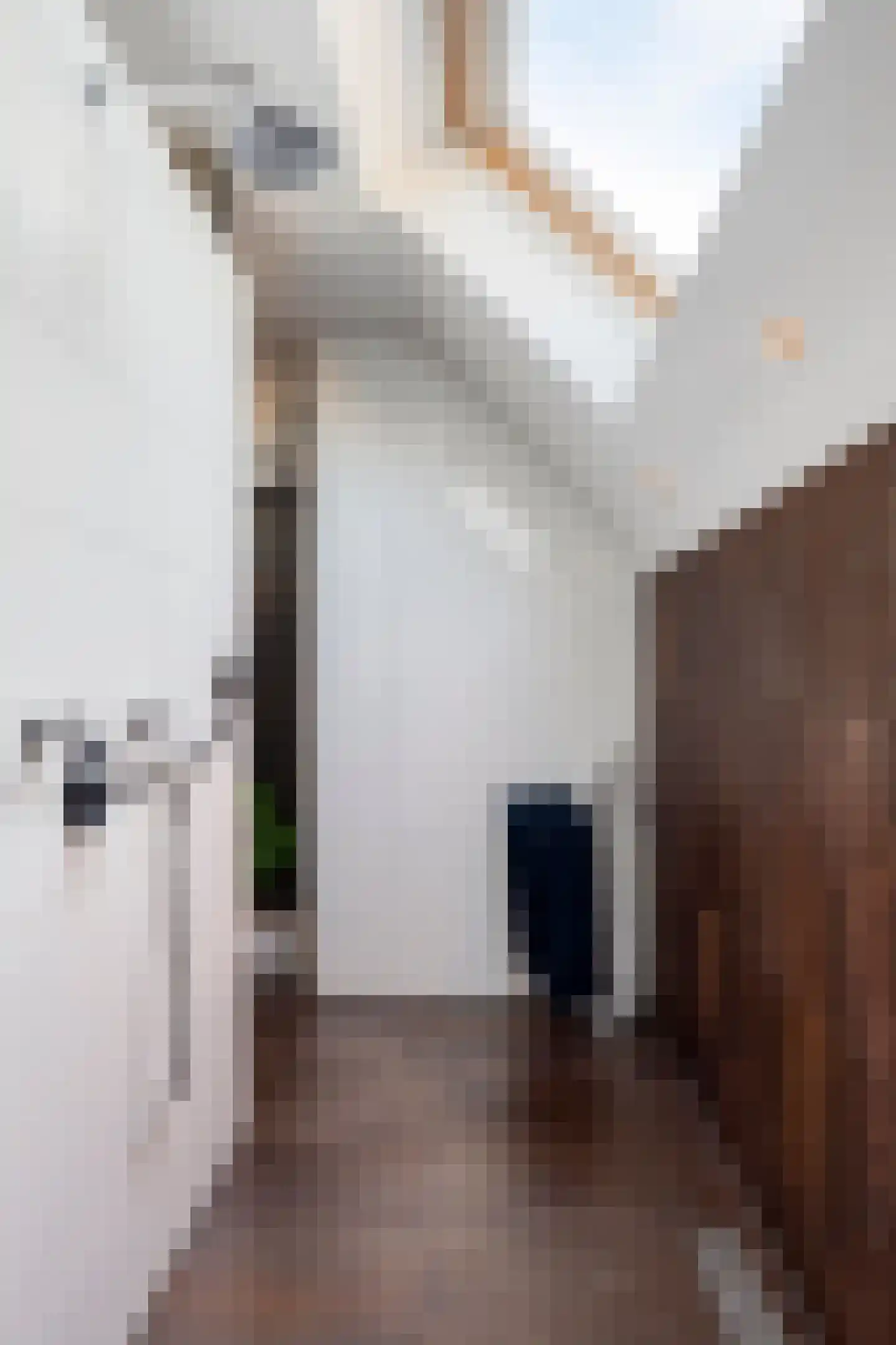 Hofstraat 2 Geldrop thumbnail 50