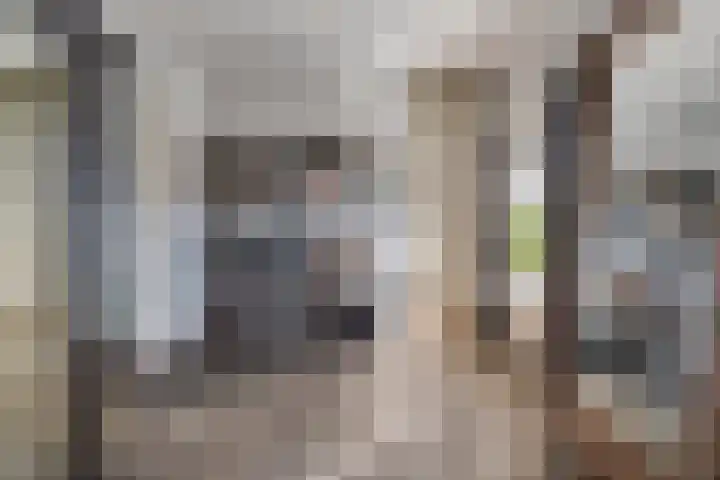 Hofstraat 2 Geldrop thumbnail 57