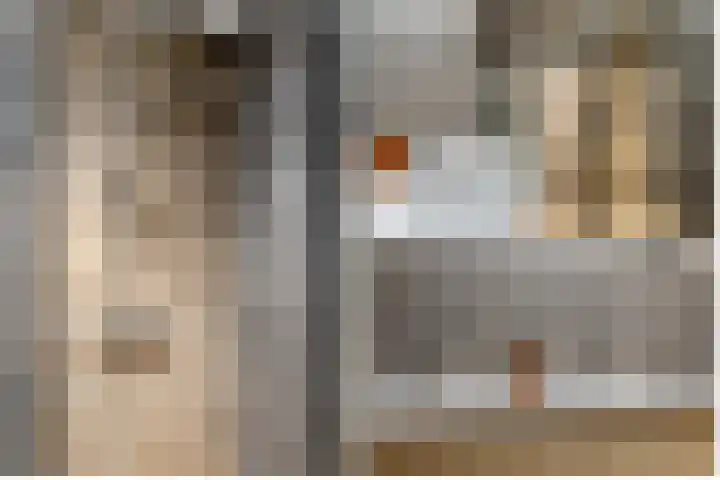 Hofstraat 2 Geldrop thumbnail 61