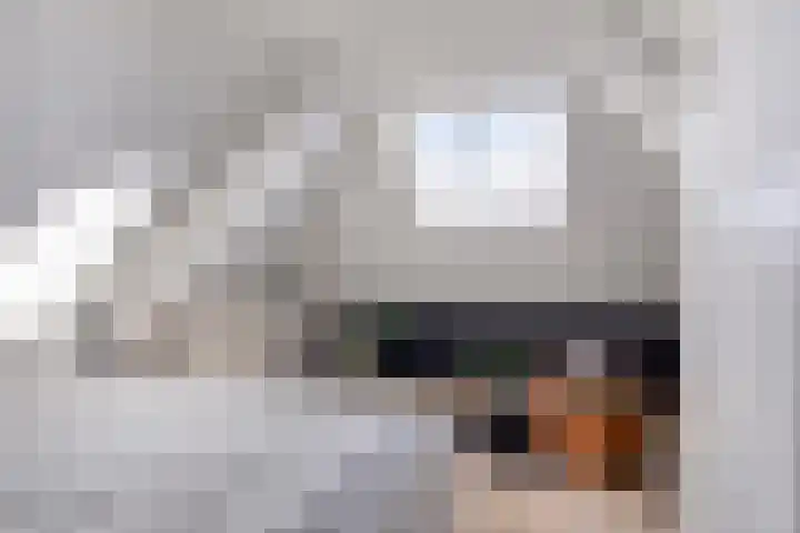 Hofstraat 2 Geldrop thumbnail 61