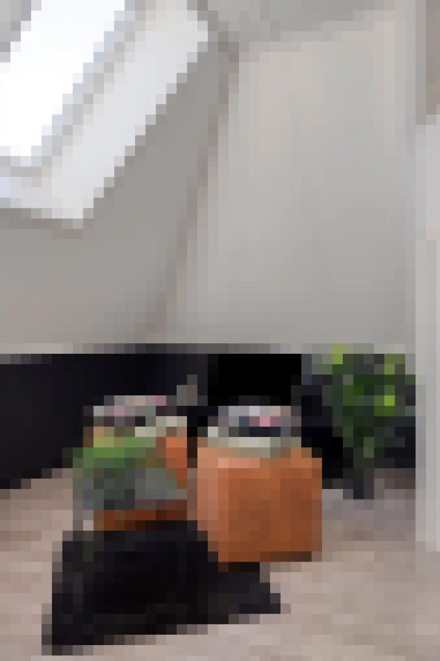 Hofstraat 2 Geldrop thumbnail 63