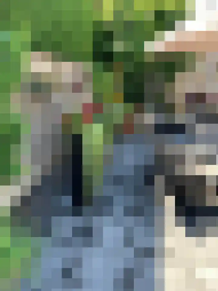 Hofstraat 2 Geldrop thumbnail 67